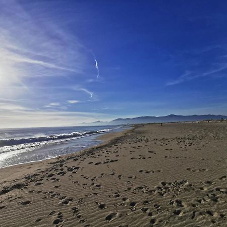Appartement Vue Mer 212 Canet-en-Roussillon Εξωτερικό φωτογραφία
